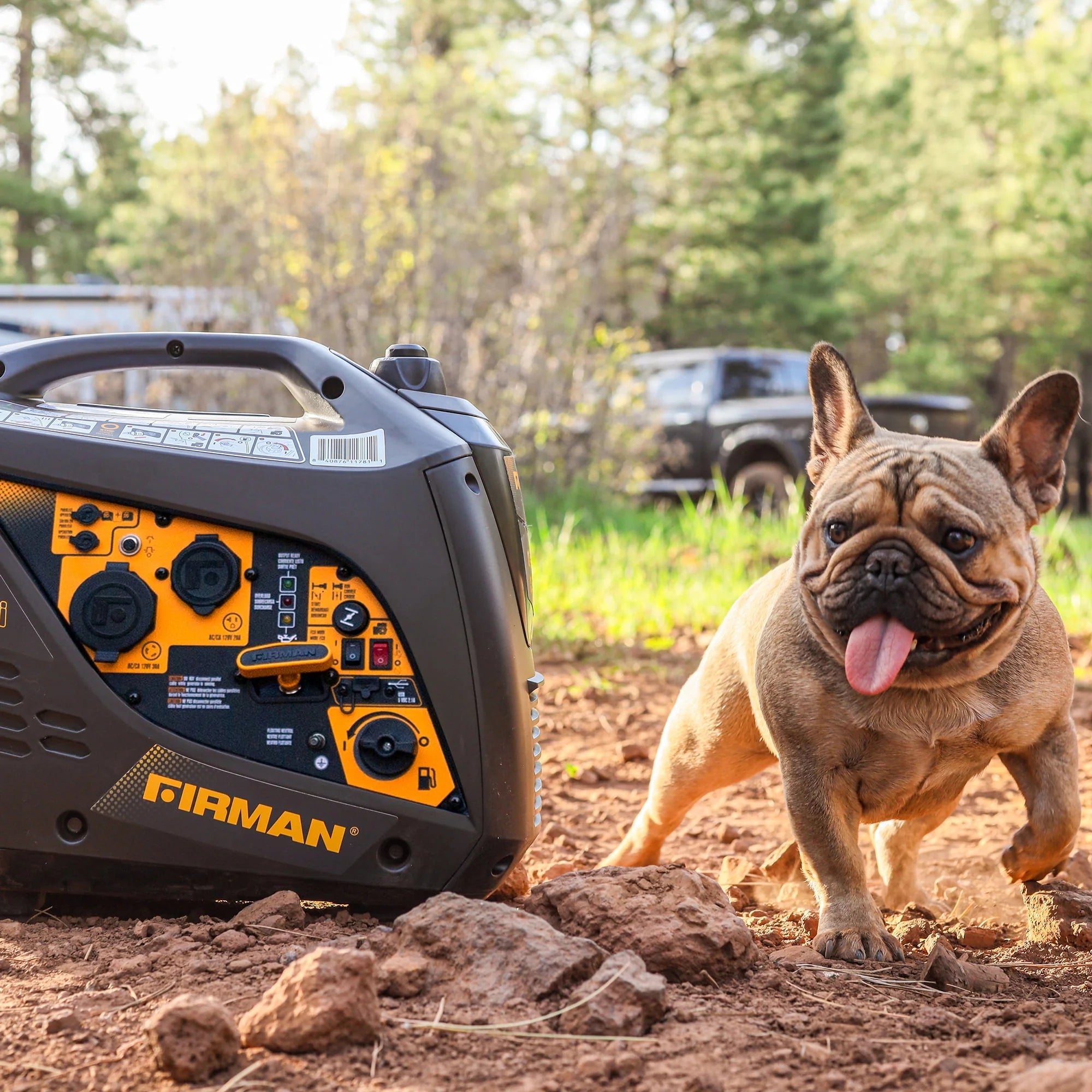 1600/2000 Watt Gasoline Powered Inverter Generator X1290