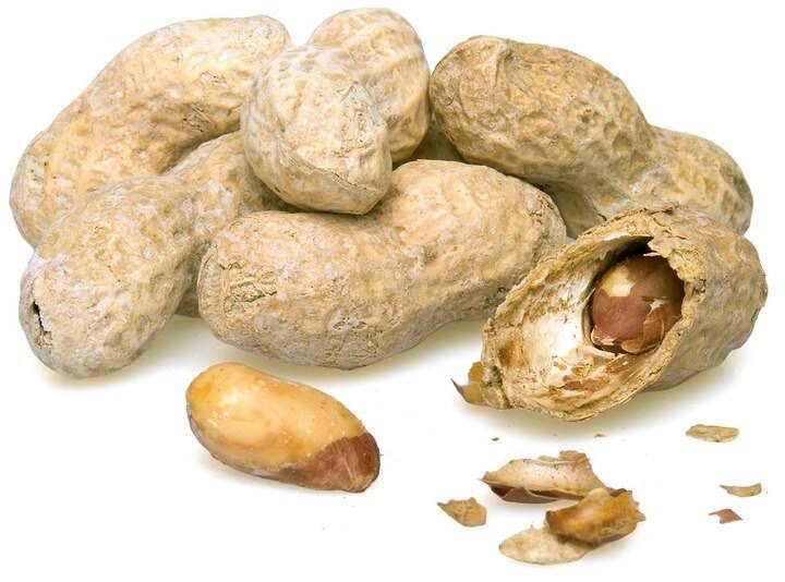 Salted Roasted Peanuts in Shell 25 Pounds T89961