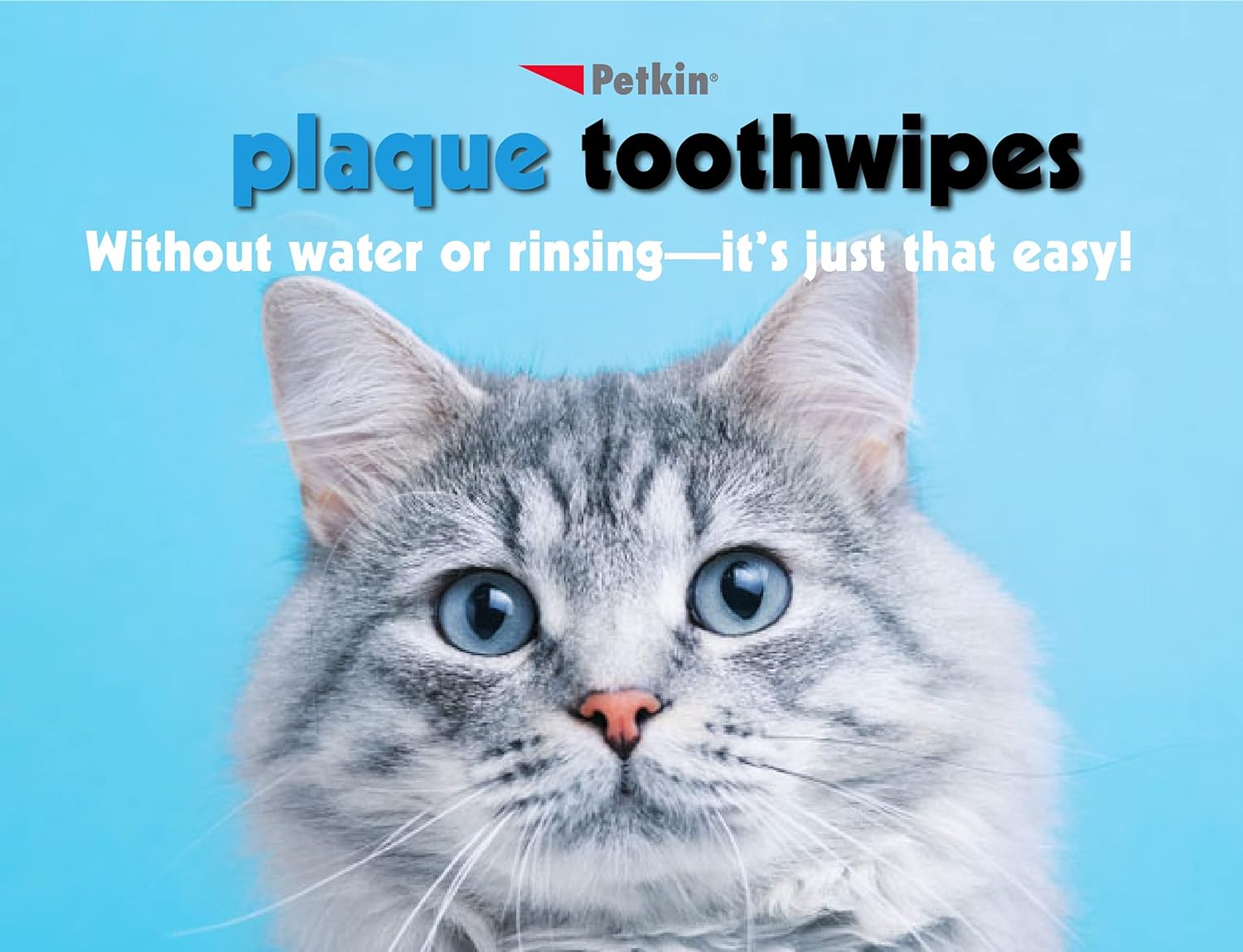 80 Wipes Dental Wipes for Cat and Dog X715494