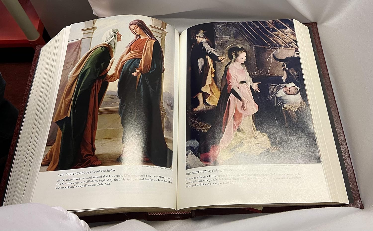Catholic Family Bible V429