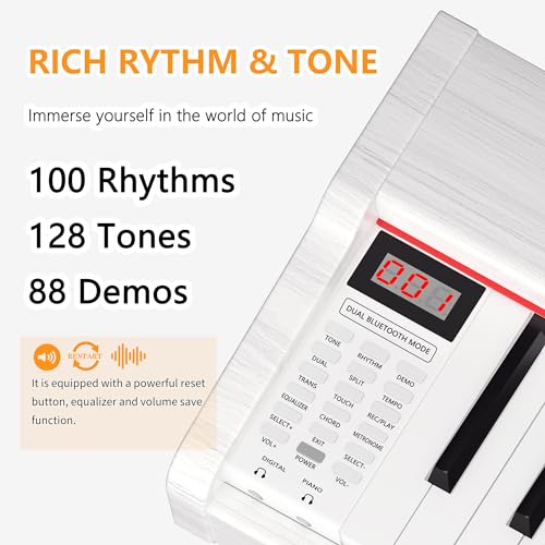 88 Key Fully Weighted Hammer Action Digital Piano Black F8738