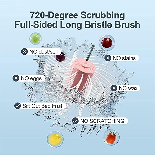 Large Fruit Washer Spinner Q77869