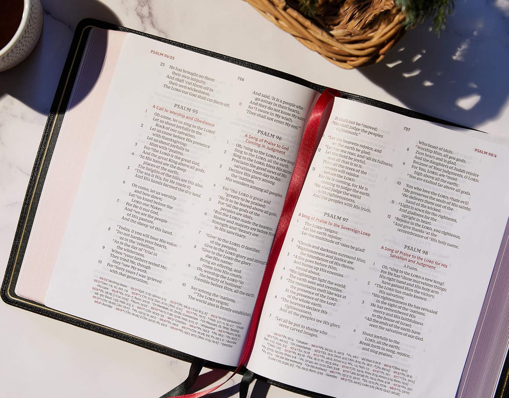 Brown Leathersoft Large Print Holy Bible L841074