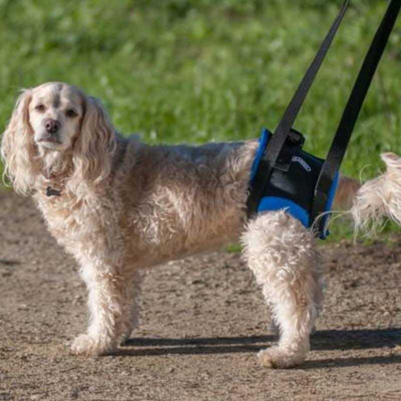 Walkabout Original Back End Harness C2295