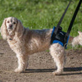 Walkabout Original Back End Harness C2295