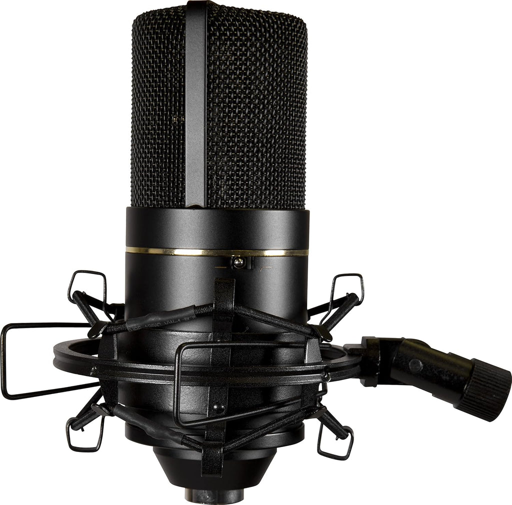 Cardioid Condenser Microphone Y18048