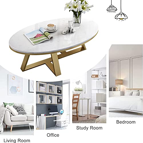 Oval Sintered Stone Top White Metal Frame Coffee Table I2544