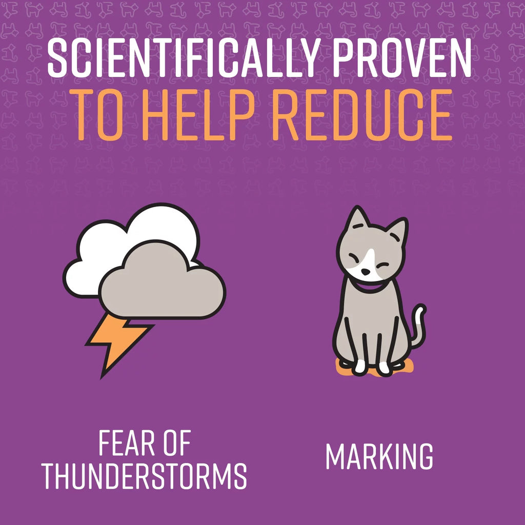 1.62 fl oz Calming Spray for Cats R6859