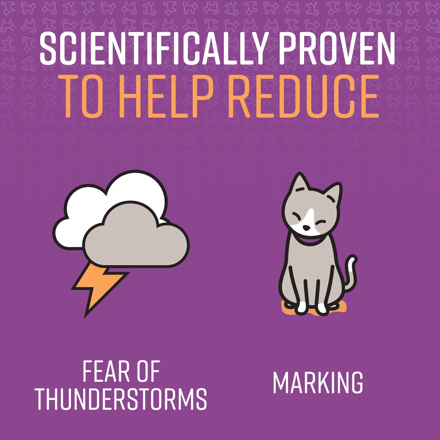 1.62 fl oz Calming Spray for Cats R6859