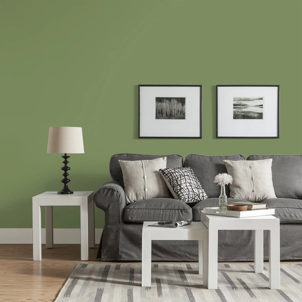 Green Eggshell Interior Paint 1 Gallon J9624
