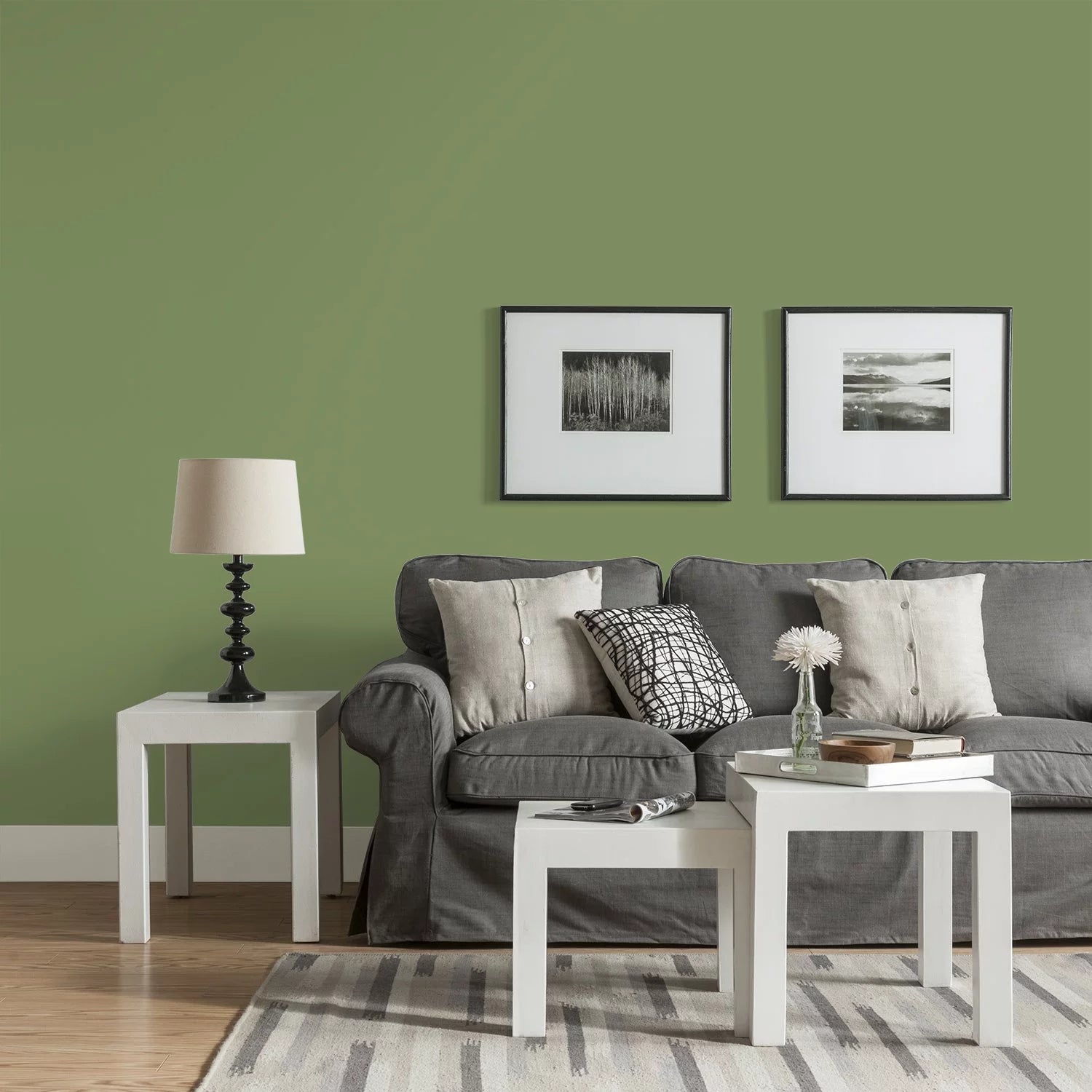 Green Eggshell Interior Paint 1 Gallon J9624