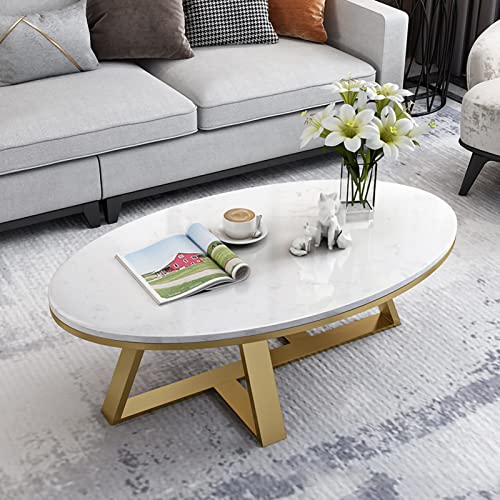 Oval Sintered Stone Top White Metal Frame Coffee Table I2544