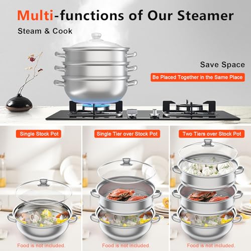 5-Tier Stainless Steel Steamer with Tempered Glass Lid T387231
