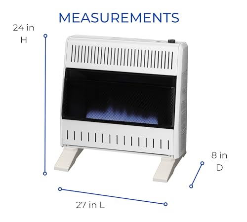 30,000 BTU Liquid Propane Blue Flame Heater W6536