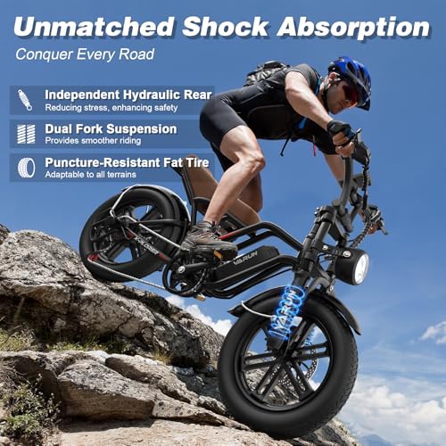 Electric Bike 750W 48V 13Ah Battery 20" Fat Tire U214
