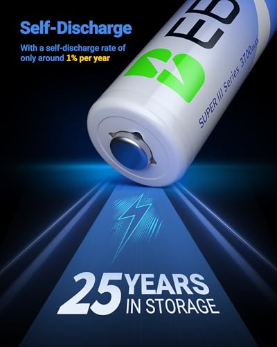 12 Pack 1.5V 3700mAh AA Lithium Batteries L65240