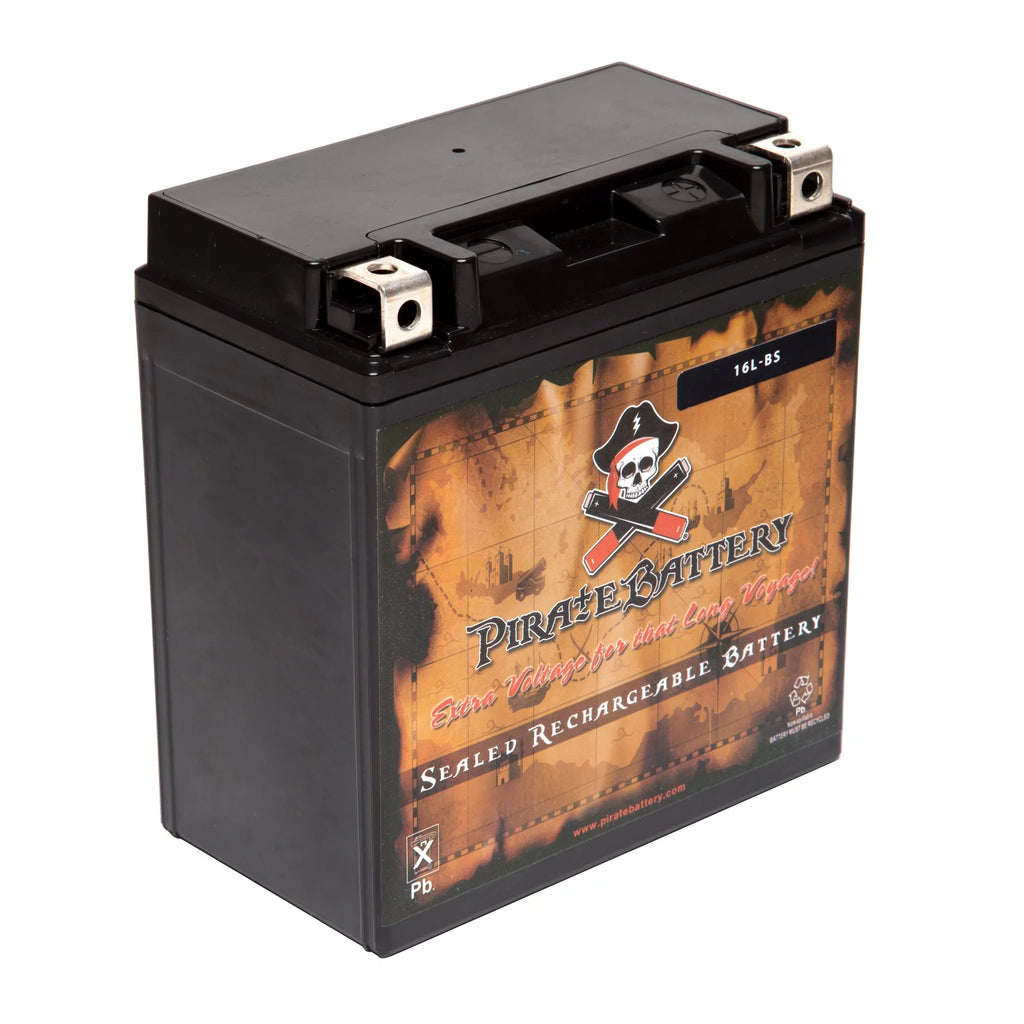 YTX16L-BS 12 Volt 14 Ah 230 CCA ATV Battery I77358