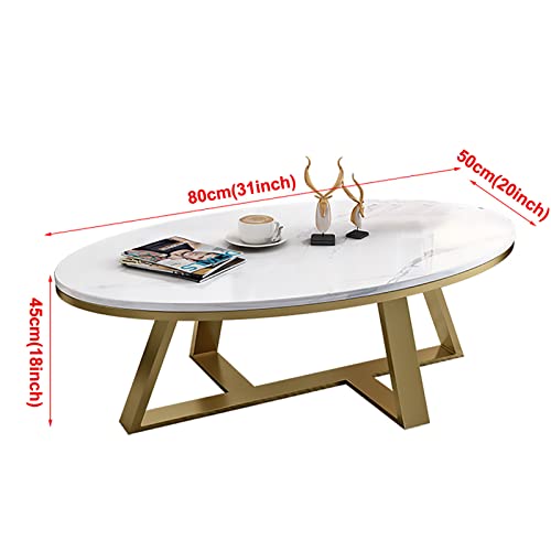 Oval Sintered Stone Top White Metal Frame Coffee Table I2544