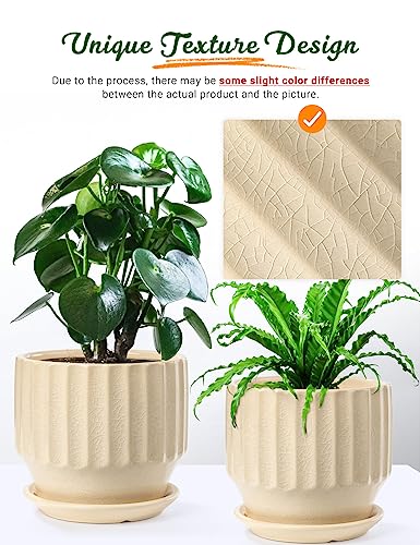 6 inch Set of 2 Ceramic Plant Pots with Drainage Hole and Saucer, Creamy White I81772