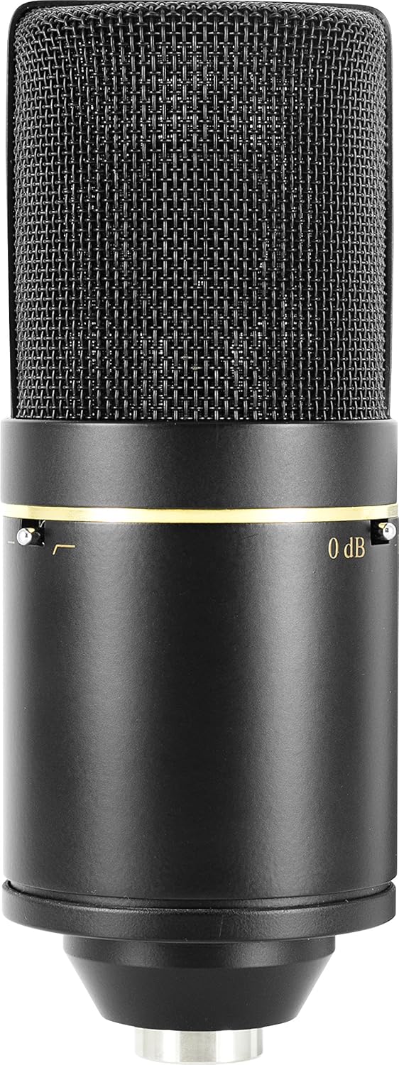 Cardioid Condenser Microphone Y18048