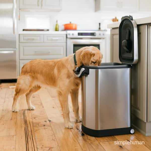 Stainless Steel Large Pet Food Storage Q40724