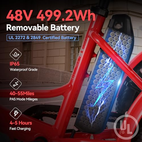 20" x2.6 Fat Tire Electric Tricycle Q937