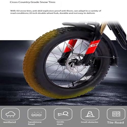 Electric Bicycle Fat Tire Removeable Battery Ebike Y57631
