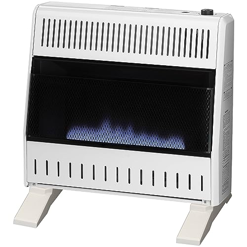 30,000 BTU Liquid Propane Blue Flame Heater W6536