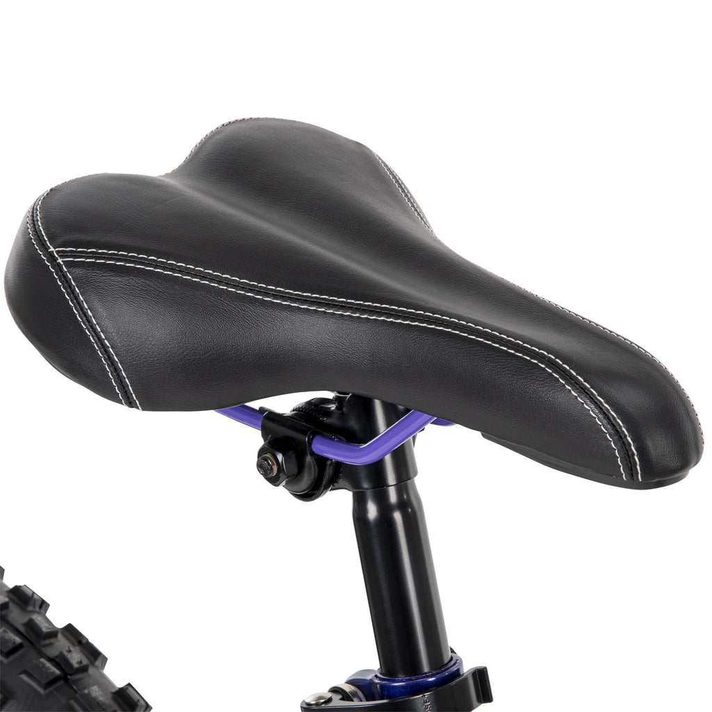 24-inch Girls' Mountain Bike, 18-speed, Purple Q530450