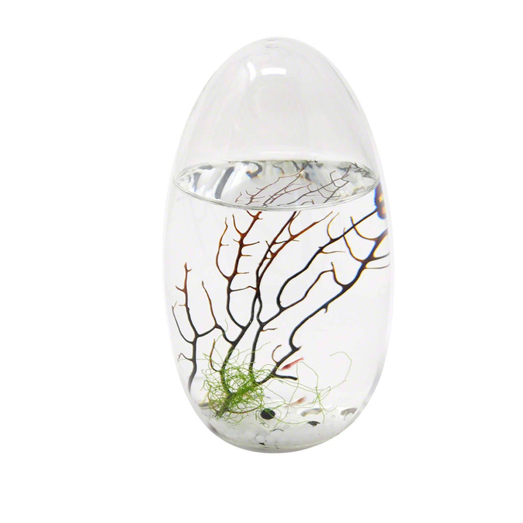Small Pod Closed Aquatic Ecosystem L672352