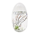 Small Pod Closed Aquatic Ecosystem L672352