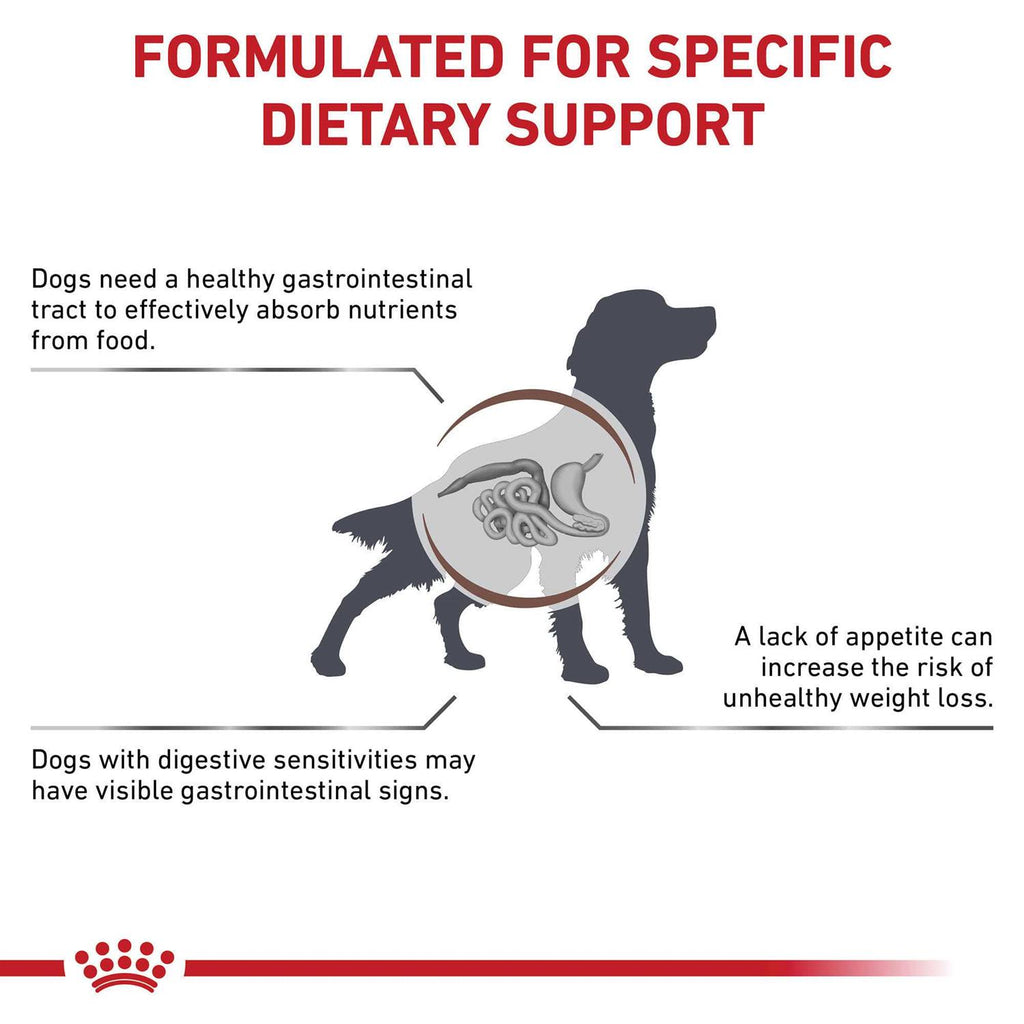 Veterinary Diet Canine Gastrointestinal Dry Dog Food M84175