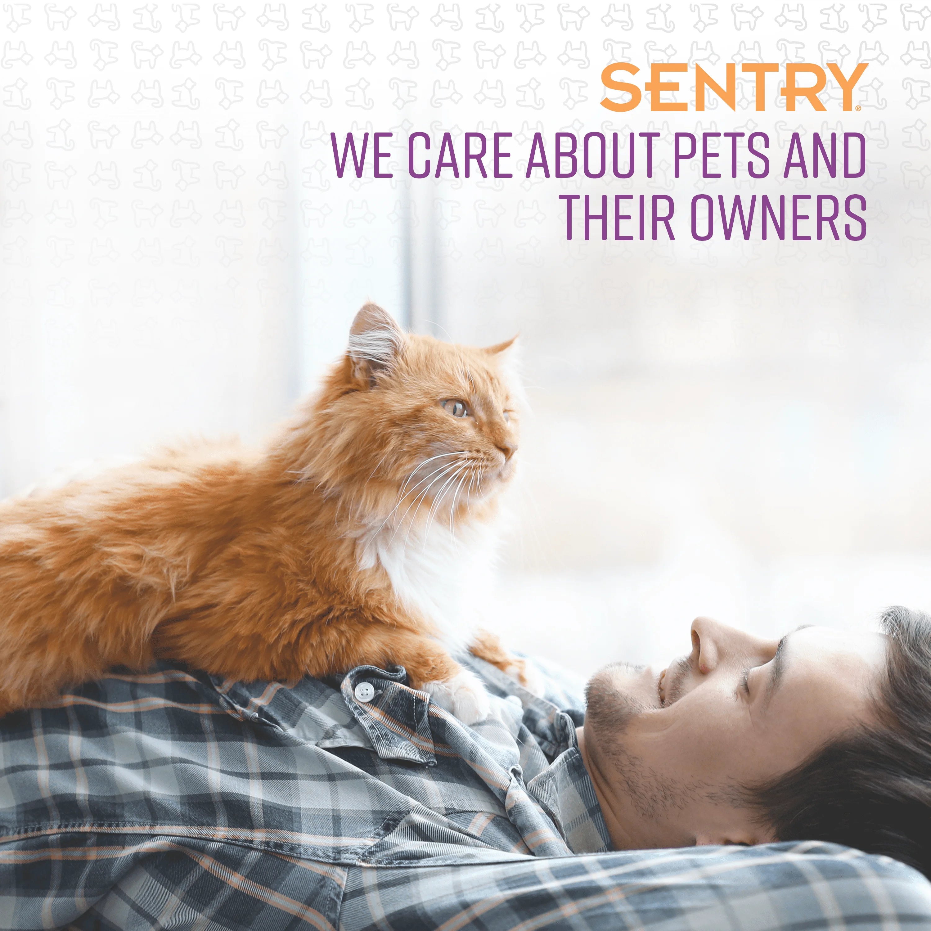 1.62 fl oz Calming Spray for Cats R6859