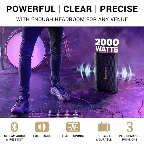 2500W 12" Full-Range Flat-Response Bluetooth Speaker O1339