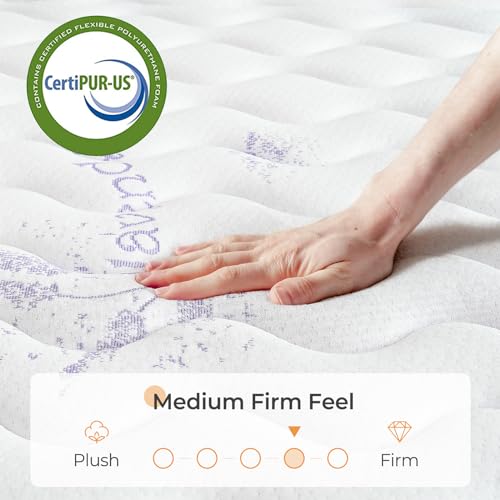 Twin 12 Inch Innerspring Hybrid Mattress with Memory Foam and Pocket Spring M7771