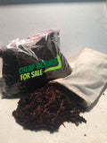 100 Red Compost Worms C154