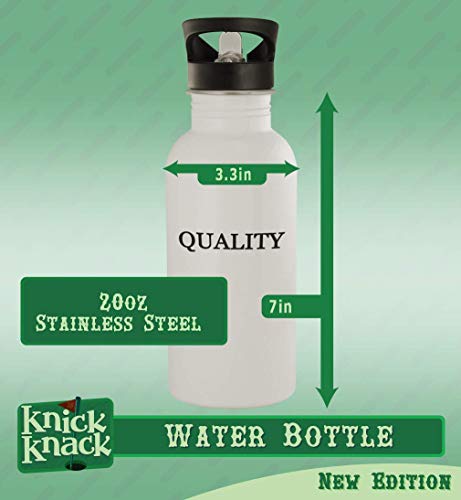 20oz Stainless Steel Water Bottle Silver S656898