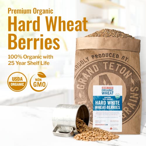 43 lbs Organic Hard White Wheat Berries O57232