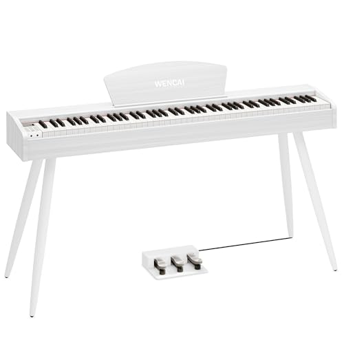 88 Key Fully Weighted Hammer Action Digital Piano Black F8738