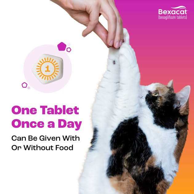 Bexacat for Cats 15 mg B92785