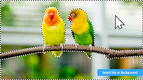 Photoshop Elements 2024 & Premiere Elements 2024 PC Code Software V249