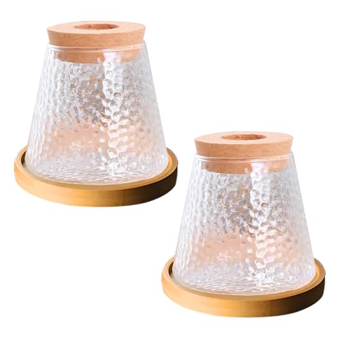 2 Pcs Separated Desktop Plant Terrarium with Wood Lid, Glass Plants Propagation Station P236