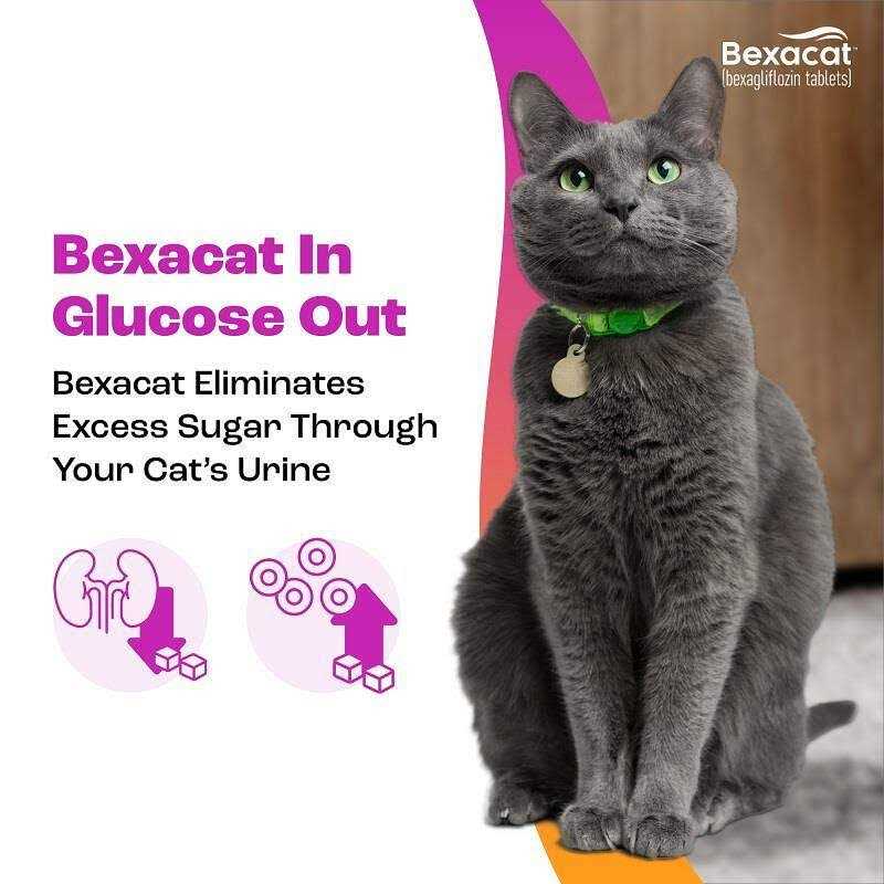 Bexacat for Cats 15 mg B92785
