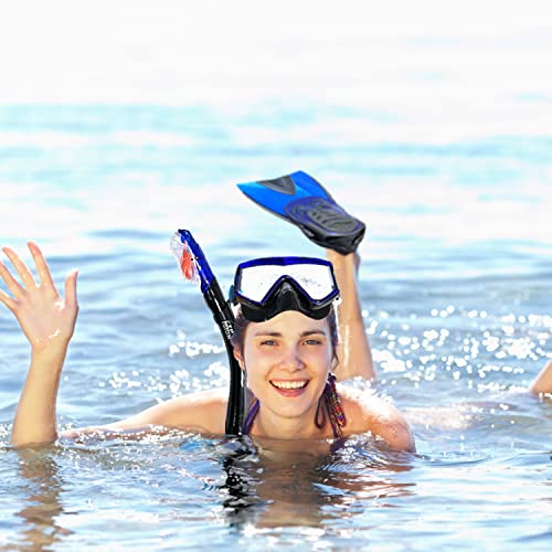 Snorkel Set, Diving Mask, Dry Top Snorkel, Dive Flippers Kit with Travel Bag B3802