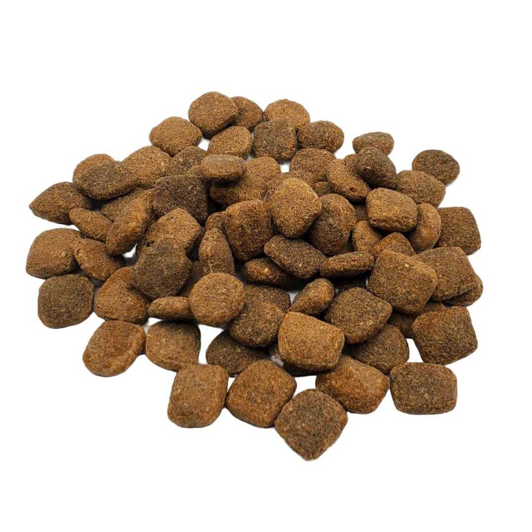 Chicken & Turkey Dry Dog Food O562