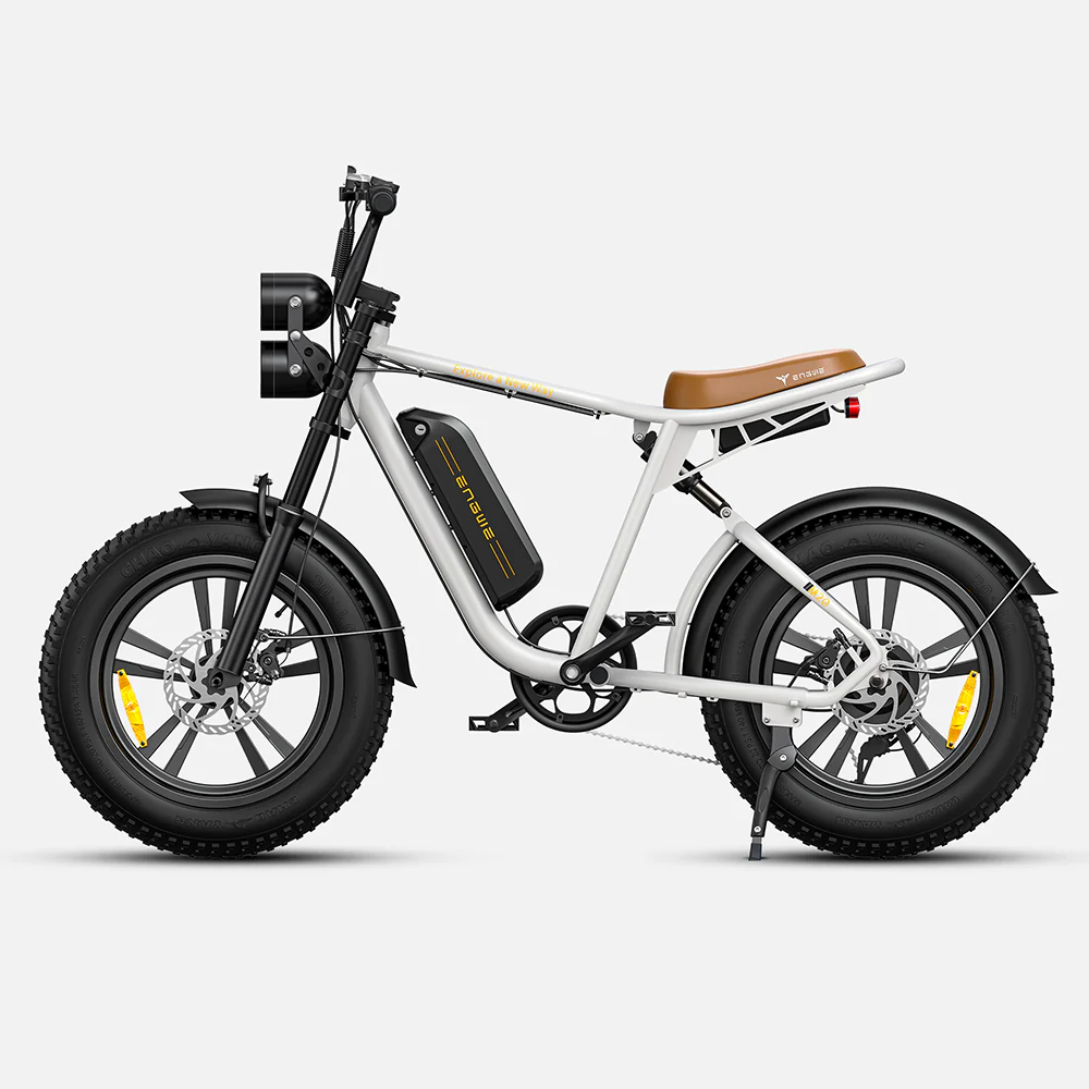 750W 20 Fatbike E-Mountainbike Y869