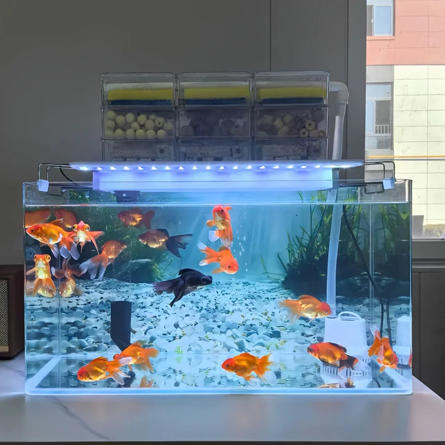 3D Aquarium Background Sticker J44754