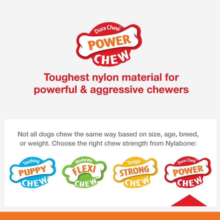 Power Chew Lobster Dog Toy Filet Mignon Q454366