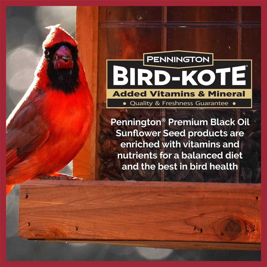 Black Oil Sunflower Seed Wild Bird Feed B255665