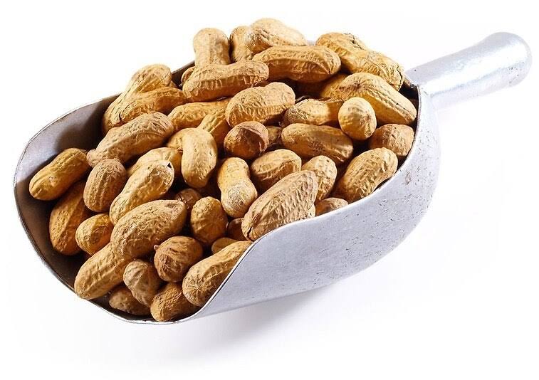 Salted Roasted Peanuts in Shell 25 Pounds T89961
